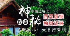 用鸡巴屌美女