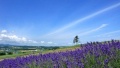 大鸡巴狠狠操小嫩逼视频日本一地6日游  境外旅游 6880元/人