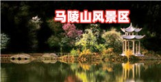男人把jj插入女人的bb的动漫视频