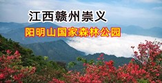 用力舔视频